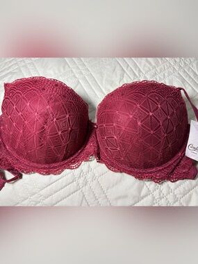 Candie's 36D Wine Lace Push-Up Bra